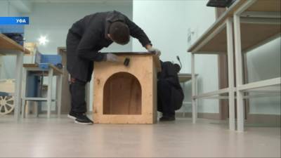 В Башкирии волонтеры изготавливают будки для брошенных собак