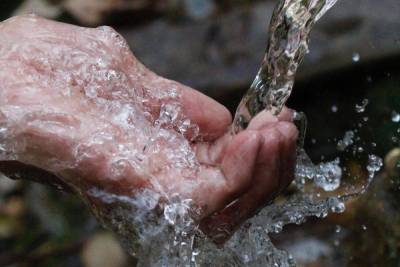 Умереть от жажды: пенсионеры и многодетные семьи просят вернуть воду в опочецкую деревню