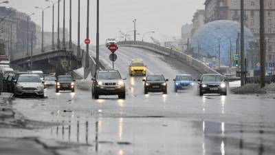 Синоптики пообещали, что выпавший утром в Москве снег растает до конца дня