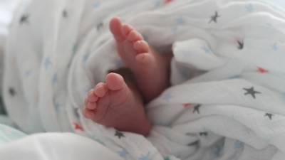 Тело новорожденной девочки в пакете нашли у заброшенного лагеря в Подмосковье