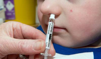 В центре Гамалеи начали испытывать вакцину от коронавируса в виде капель для носа