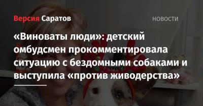 «Виноваты люди»: детский омбудсмен прокомментировала ситуацию с бездомными собаками и выступила «против живодерства»