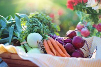 Диетологи назвали три овоща, которые мешают сбросить вес - lenta.ua