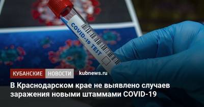 В Краснодарском крае не выявлено случаев заражения новыми штаммами COVID-19
