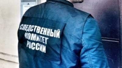 В Новосибирске СК возбудил дело из-за похищения школьницы - newinform.com - Новосибирск - Того