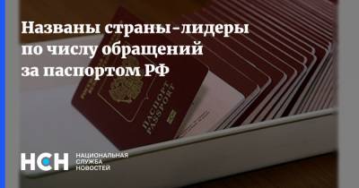 Названы страны-лидеры по числу обращений за паспортом РФ