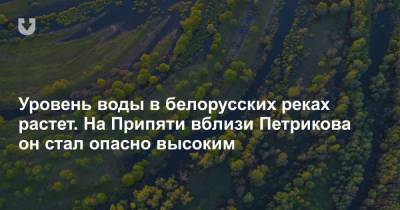 Уровень воды в белорусских реках растет. На Припяти вблизи Петрикова он стал опасно высоким