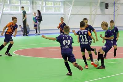 Липецкая область будет развивать футбол с помощью Минспорта, РФС и Федерации футбола
