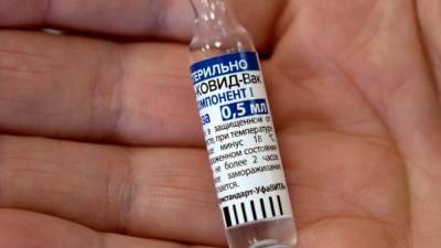 Живущие за границей россияне планируют приехать в РФ ради вакцины от COVID-19