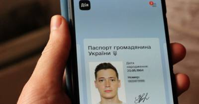 "Взломают, украдут, переоформят на себя". За что критикуют украинские цифровые паспорта