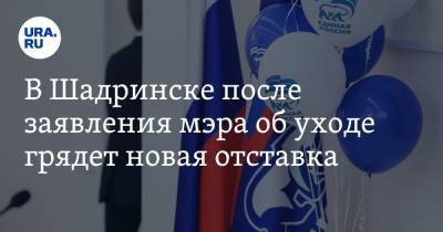 В Шадринске после заявления мэра об уходе грядет новая отставка