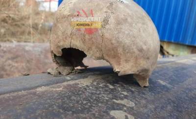 "Думал, мячик пробитый": тюменцы нашли на улице череп