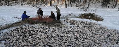 Рыбакам Ямала разрешат ловить недоступные ранее ценные виды рыб