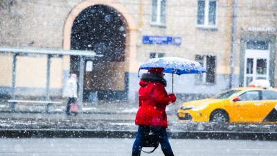 Вильфанд назвал апрельский снегопад в Москве климатической рутиной