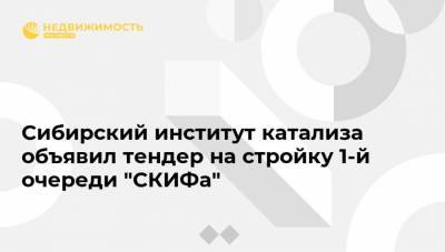 Сибирский институт катализа объявил тендер на стройку 1-й очереди "СКИФа"
