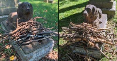 Бронзовый пёс главная достопримечательность нью-йоркского кладбища
