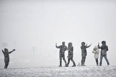 Вильфанд призвал москвичей не удивляться апрельскому снегу