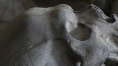 «Черные археологи» раскопали братское захоронение времен ВОВ в Симферополе