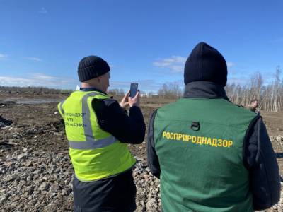 В Ломоносовском районе нашли новую незаконную свалку высотой до десяти метров