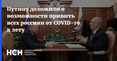 Путину доложили о возможности привить всех россиян от COVID-19 к лету