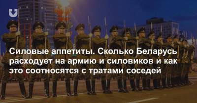 Силовые аппетиты. Сколько Беларусь расходует на армию и силовиков и как это соотносятся с тратами соседей
