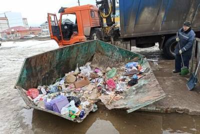Сейфы, моторное масло и навоз: жители Коми портят мусорные баки нестандартными отходами