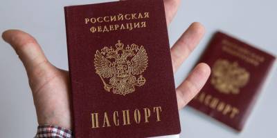 Украинцы чаще других иностранцев получали российское гражданство в 2020 году