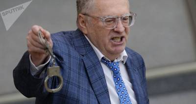 "Триста штрафов – лишение свободы": Жириновский предлагает ужесточить наказание за ПДД