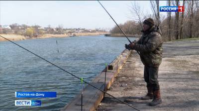 Какие виды рыб запрещено ловить в водоемах Ростовской области