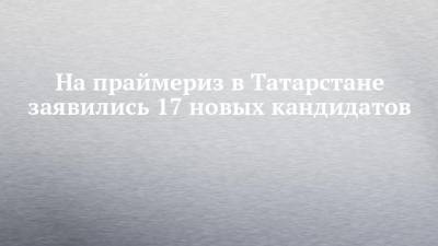 На праймериз в Татарстане заявились 17 новых кандидатов