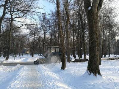 В Москве упавшее дерево травмировало рабочего, убиравшего снег