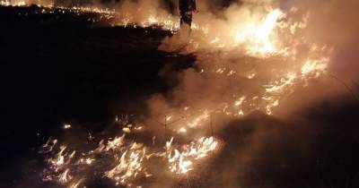 В Ровенской области женщина вместе с травой на огороде чуть не сожгла сельские дома