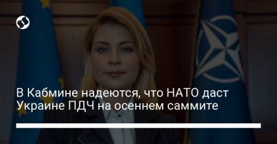 В Кабмине надеются, что НАТО даст Украине ПДЧ на осеннем саммите