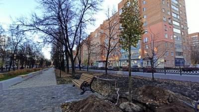 Более 10 секций новой ограды демонтировали в сквере на Звездинке в Нижнем Новгороде
