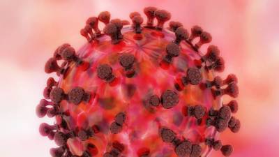 Мутация мутировавшего коронавируса: каких еще сюрпризов стоит ждать