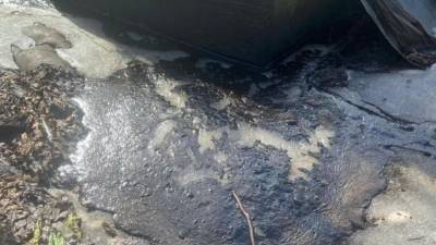 Повреждение резервуаров с топливом привело к разливу нефтепродуктов у станции Парголово