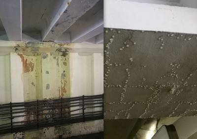 Москвичи сообщили о протечке потолка на станции метро «Багратионовская»