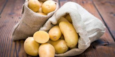 Картофель: вред или польза для организма