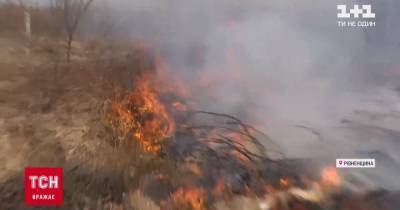 В Ровенской области из-за сжигания сухой травы огонь едва не перекинулся на дома: поджигателей оштрафовали