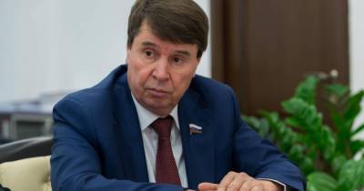 "Жест вежливости": сенатор от Крыма оценил звонок Байдена Зеленскому