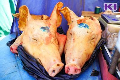 В Коми фермерам выплатят более пяти миллионов рублей за изъятых свиней