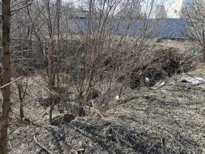 Пришла весна и в Лисичанске появился свой позорный "зомби-парк" (фото и видео)