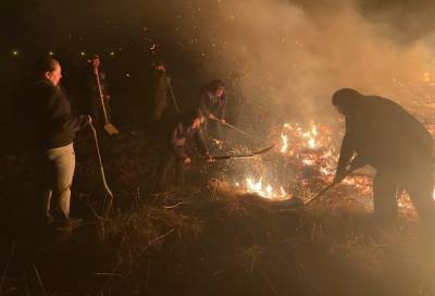 В Гатчинском районе в полях произошло больше 60 возгораний