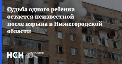 Судьба одного ребенка остается неизвестной после взрыва в Нижегородской области