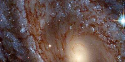 Телескоп Хаббл сфотографировал крупным планом галактику NGC 4603 - обнародован снимок - ТЕЛЕГРАФ