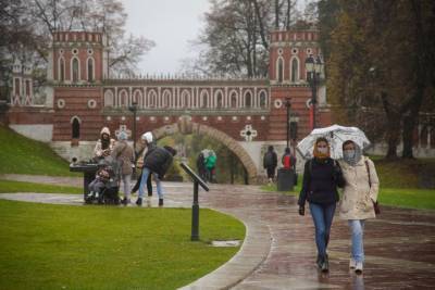 Синоптики предупредили москвичей о дождливой и ветреной погоде 20 апреля