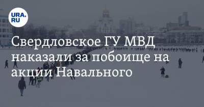 Свердловское ГУ МВД наказали за побоище на акции Навального. Инсайд