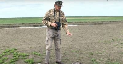 Разрыв внутренних органов: в "Аскании-Нова" погибли 15 краснокнижных журавлей (видео)
