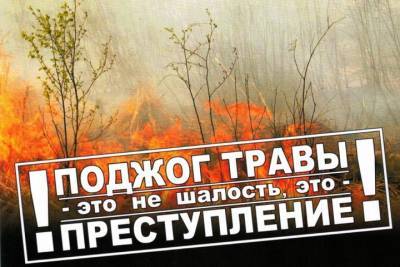 В результате пала травы в Костромской области сгорели дачный домик и хозпостройка