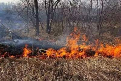 В Югре нашли виновных в первых ландшафтных пожарах